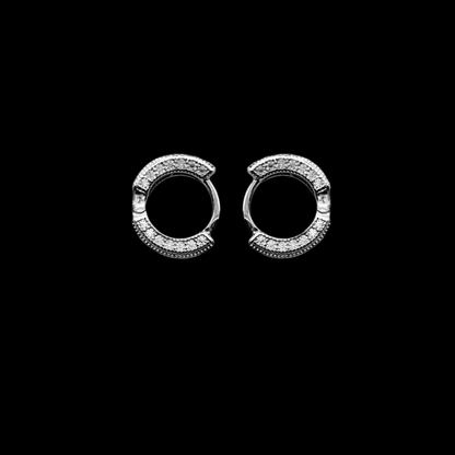 Hoop Huggies Moissanite Earrings