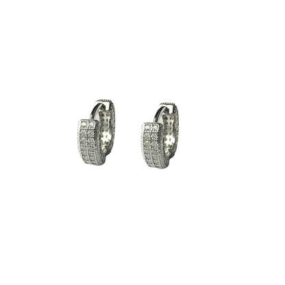 Hoop Huggies Moissanite Earrings